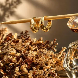 Brinco argola abaloada fecho clic