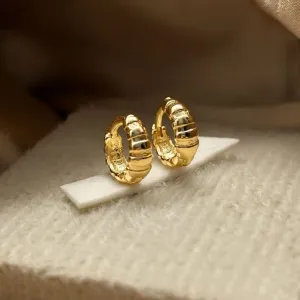 Brinco argola com detalhes