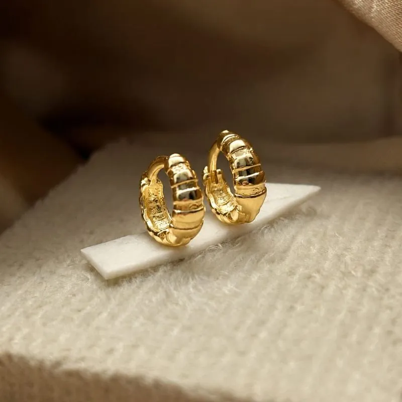 Brinco argola com detalhes
